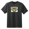Dry Zone™ Short Sleeve Raglan T Shirt Thumbnail