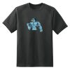 Dry Zone™ Short Sleeve Raglan T Shirt Thumbnail