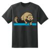 Dry Zone™ Short Sleeve Raglan T Shirt Thumbnail