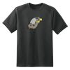 Dry Zone™ Short Sleeve Raglan T Shirt Thumbnail