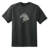 Dry Zone™ Short Sleeve Raglan T Shirt Thumbnail