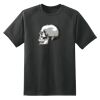 Dry Zone™ Short Sleeve Raglan T Shirt Thumbnail