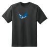 Dry Zone™ Short Sleeve Raglan T Shirt Thumbnail