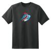 Dry Zone™ Short Sleeve Raglan T Shirt Thumbnail