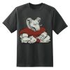 Dry Zone™ Short Sleeve Raglan T Shirt Thumbnail