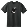 Dry Zone™ Short Sleeve Raglan T Shirt Thumbnail