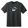 Dry Zone™ Short Sleeve Raglan T Shirt Thumbnail