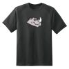 Dry Zone™ Short Sleeve Raglan T Shirt Thumbnail