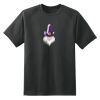 Dry Zone™ Short Sleeve Raglan T Shirt Thumbnail