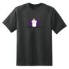 Dry Zone™ Short Sleeve Raglan T Shirt Thumbnail