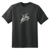 Dry Zone™ Short Sleeve Raglan T Shirt Thumbnail