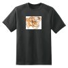 Dry Zone™ Short Sleeve Raglan T Shirt Thumbnail