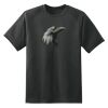 Dry Zone™ Short Sleeve Raglan T Shirt Thumbnail
