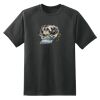 Dry Zone™ Short Sleeve Raglan T Shirt Thumbnail