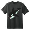 Dry Zone™ Short Sleeve Raglan T Shirt Thumbnail