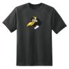Dry Zone™ Short Sleeve Raglan T Shirt Thumbnail