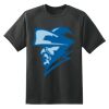 Dry Zone™ Short Sleeve Raglan T Shirt Thumbnail