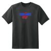 Dry Zone™ Short Sleeve Raglan T Shirt Thumbnail