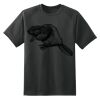 Dry Zone™ Short Sleeve Raglan T Shirt Thumbnail