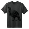 Dry Zone™ Short Sleeve Raglan T Shirt Thumbnail