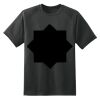 Dry Zone™ Short Sleeve Raglan T Shirt Thumbnail