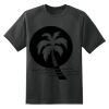 Dry Zone™ Short Sleeve Raglan T Shirt Thumbnail