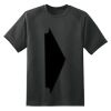 Dry Zone™ Short Sleeve Raglan T Shirt Thumbnail