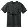 Dry Zone™ Short Sleeve Raglan T Shirt Thumbnail