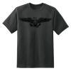 Dry Zone™ Short Sleeve Raglan T Shirt Thumbnail