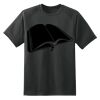 Dry Zone™ Short Sleeve Raglan T Shirt Thumbnail