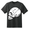Dry Zone™ Short Sleeve Raglan T Shirt Thumbnail