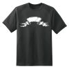 Dry Zone™ Short Sleeve Raglan T Shirt Thumbnail