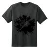 Dry Zone™ Short Sleeve Raglan T Shirt Thumbnail