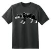 Dry Zone™ Short Sleeve Raglan T Shirt Thumbnail