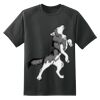Dry Zone™ Short Sleeve Raglan T Shirt Thumbnail