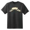 Dry Zone™ Short Sleeve Raglan T Shirt Thumbnail