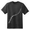 Dry Zone™ Short Sleeve Raglan T Shirt Thumbnail