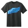 Dry Zone™ Short Sleeve Raglan T Shirt Thumbnail
