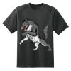 Dry Zone™ Short Sleeve Raglan T Shirt Thumbnail