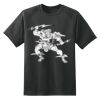 Dry Zone™ Short Sleeve Raglan T Shirt Thumbnail