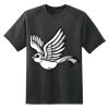 Dry Zone™ Short Sleeve Raglan T Shirt Thumbnail