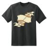 Dry Zone™ Short Sleeve Raglan T Shirt Thumbnail