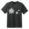 Dry Zone™ Short Sleeve Raglan T Shirt Thumbnail