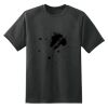Dry Zone™ Short Sleeve Raglan T Shirt Thumbnail