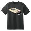Dry Zone™ Short Sleeve Raglan T Shirt Thumbnail