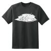 Dry Zone™ Short Sleeve Raglan T Shirt Thumbnail