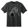 Dry Zone™ Short Sleeve Raglan T Shirt Thumbnail