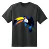 Dry Zone™ Short Sleeve Raglan T Shirt Thumbnail