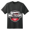 Dry Zone™ Short Sleeve Raglan T Shirt Thumbnail