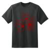 Dry Zone™ Short Sleeve Raglan T Shirt Thumbnail